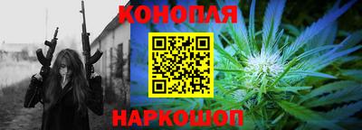 крисы Бузулук