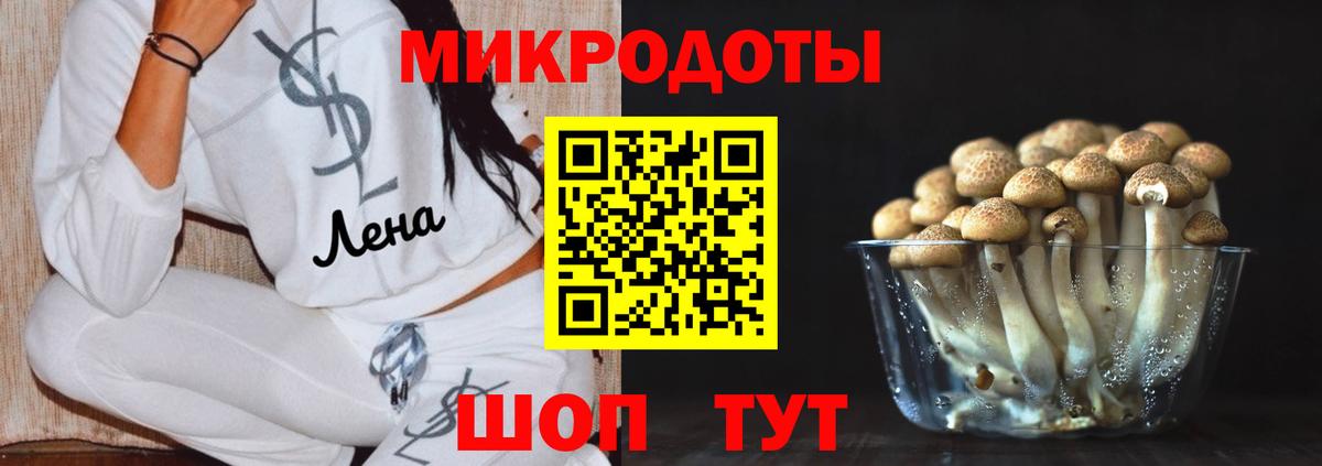 Галлюциногенные грибы Psilocybe Сатка